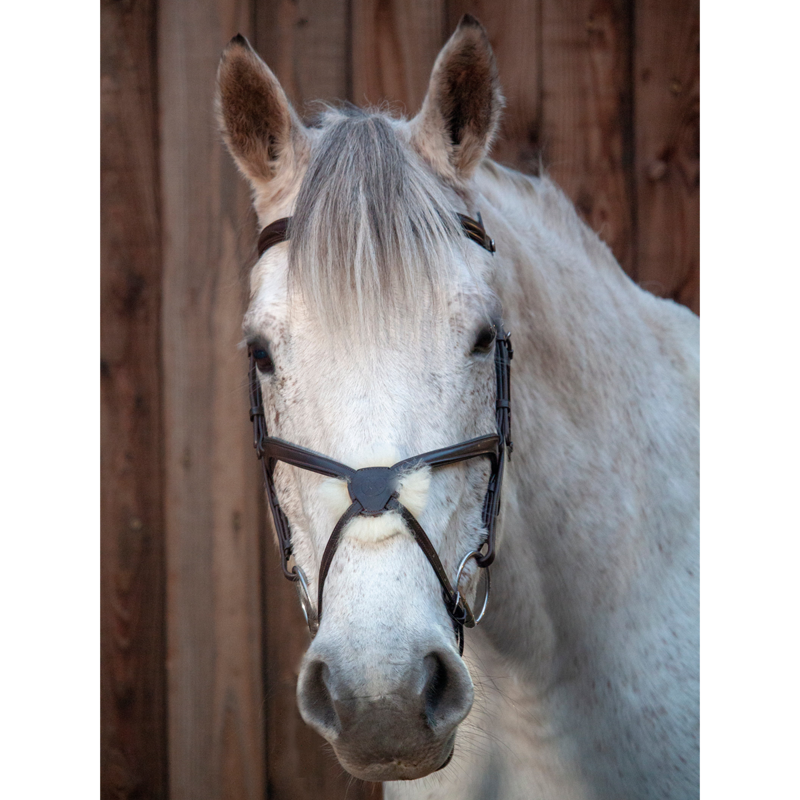 Henry James Sheepskin Grackle Bridle - Black-2